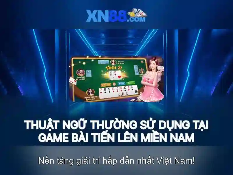 Biểu đồ tổng quan xn88