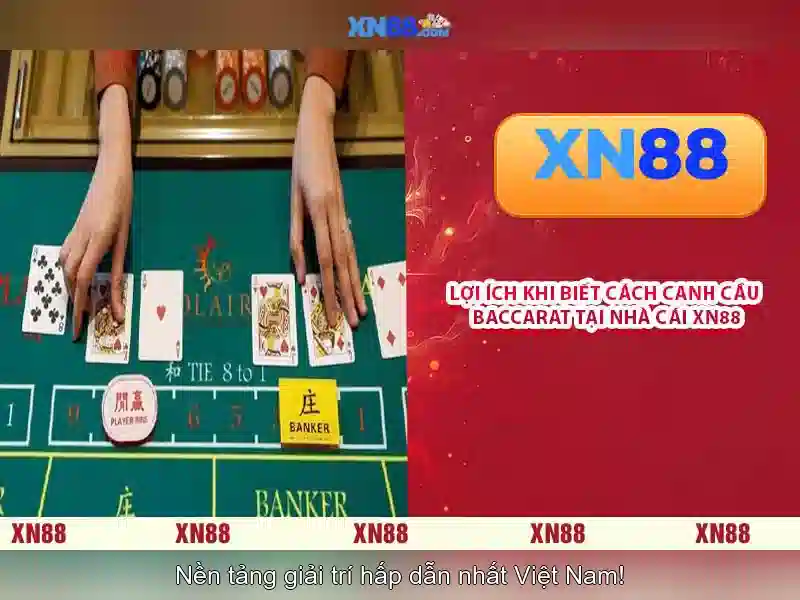 Giới thiệu về xn88