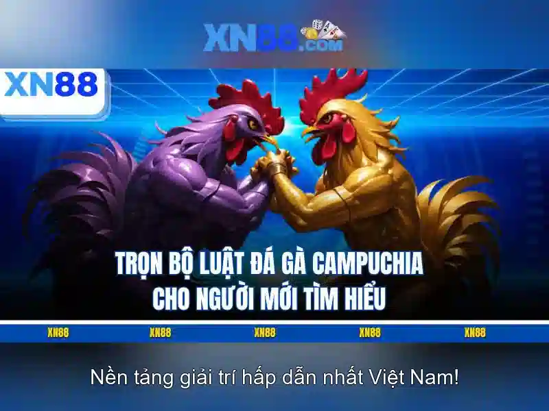 XN88: Nền tảng giải trí trực tuyến và cá cược Giao diện nhà cái hoàn hảo