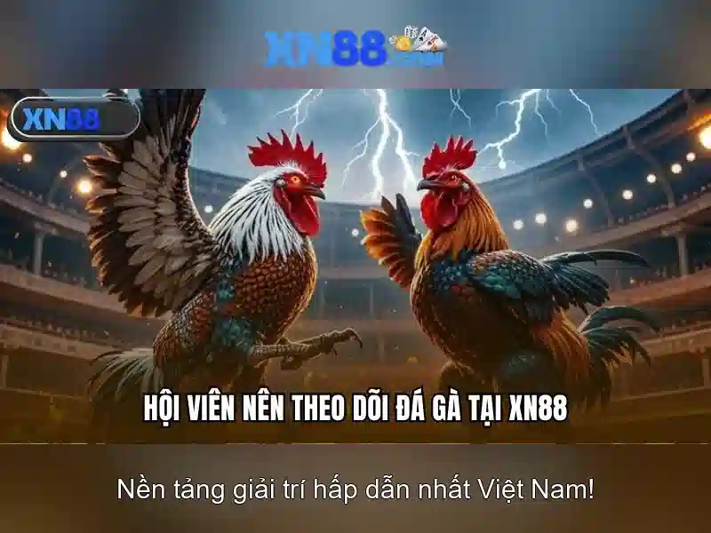 Giao diện người dùng xn88
