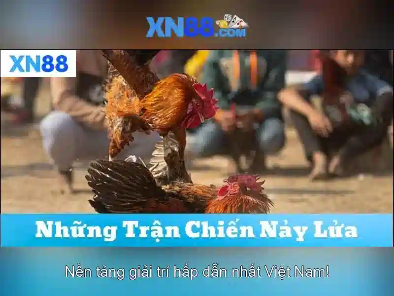 xn88: một nền tảng giải trí và cược trực tuyến Giao diện nhà cái hoàn hảo