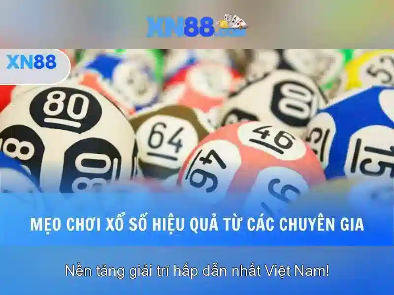 Giới thiệu về xn88
