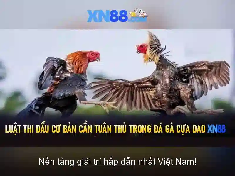 Các trò chơi phổ biến trên Xn88