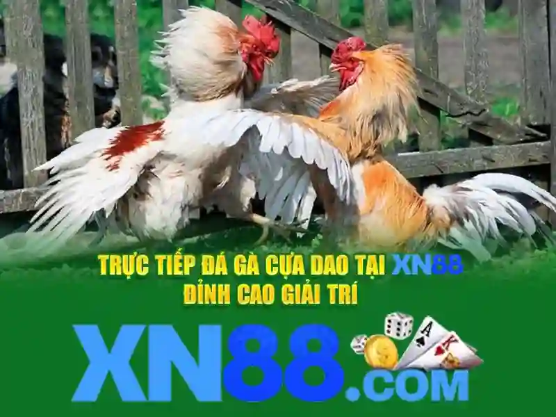 Các tính năng nổi bật